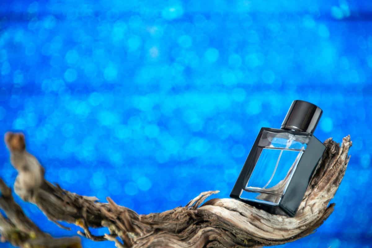 botol parfum di atas dahan dengan background laut biru