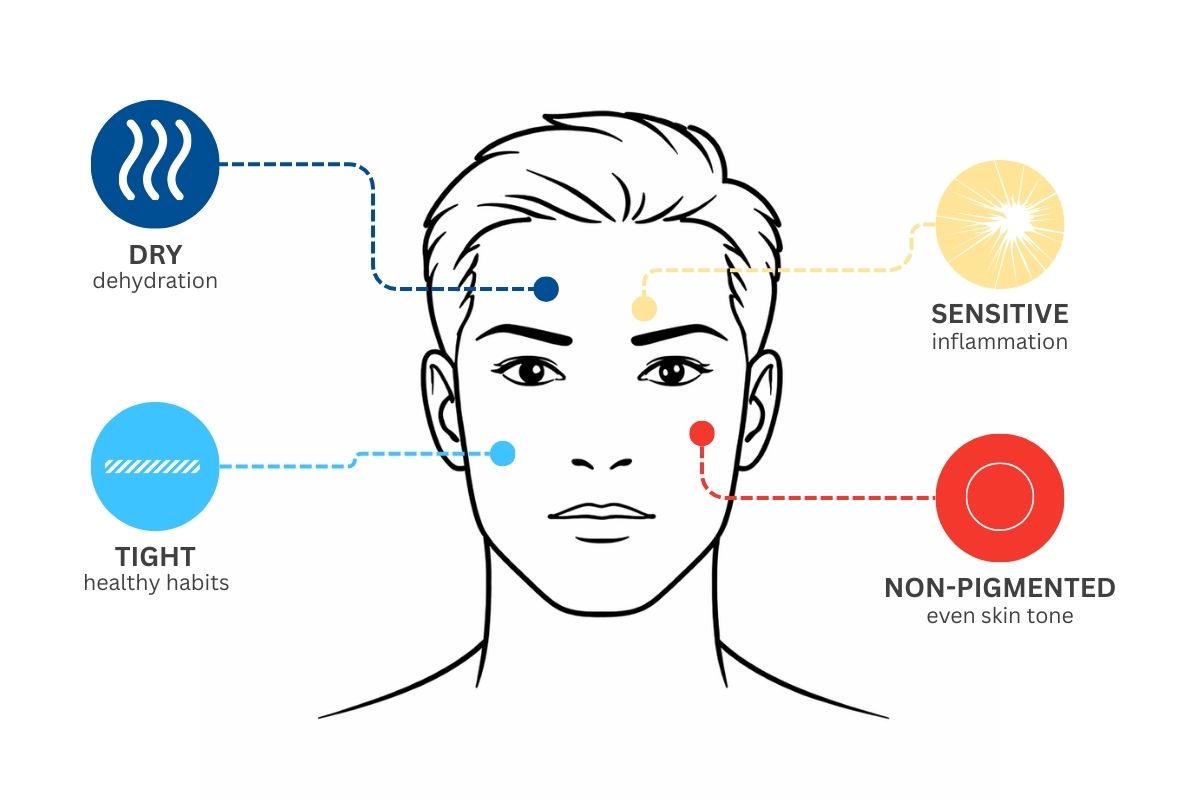Visualisasi kulit DSNT
