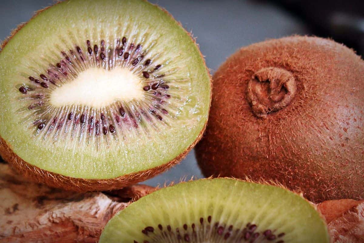 Buah kiwi