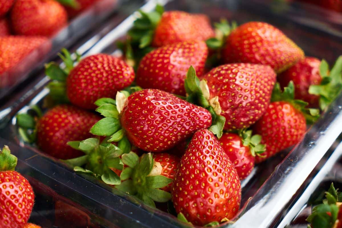 Buah stroberi di dalam wadah plastik